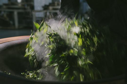 柏联普洱制茶品茗体验 | 398元/套（需提前致电预约） 商品图8