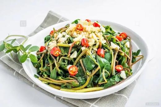 凉拌马扎菜 商品图0