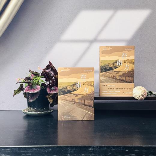 在南方（新版） 商品图2