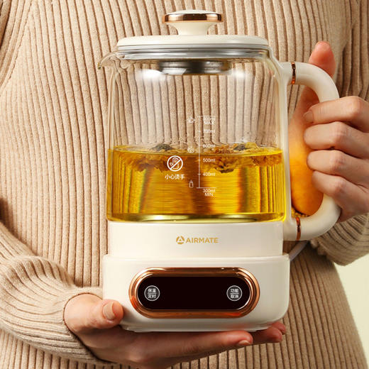 艾美特酷炫养生壶CS0608 商品图4