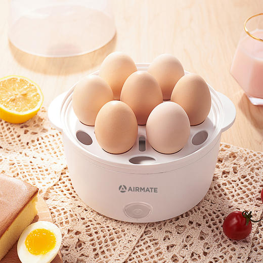 艾美特蒸蛋器CR0201 商品图2