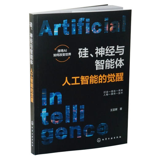 硅、神经与智能体：人工智能的觉醒 商品图0