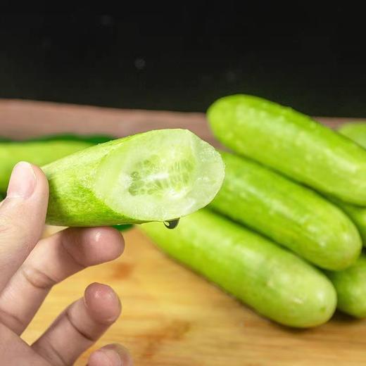 海阳白玉黄瓜奶油黄瓜 商品图1