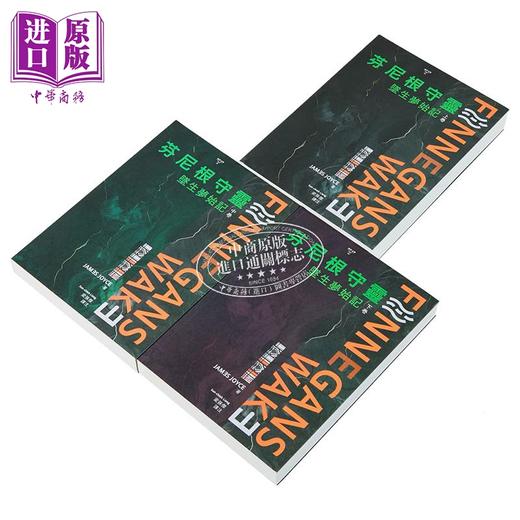 【中商原版】芬尼根守灵 坠生梦始记 全套 港台原版 詹姆士乔伊斯 书林出版 商品图1