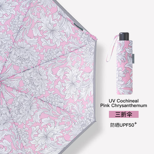 FULTON富尔顿 英国进口Morris Minilite-2 UV Cochineal Pink Chrysanthemum 三折伞 WFNM2401+FTBX-05 商品图6
