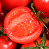 普罗旺斯西红柿4.5-5斤/箱 商品缩略图5