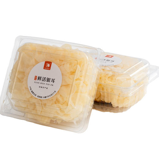 古田鲜活银耳   朵朵新鲜软糯胶质浓稠   没有烘烤加工 无需浸泡直接炖煮 顺丰快递 商品图5
