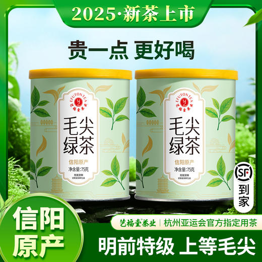 艺福堂毛尖茶75g/罐特级 商品图0