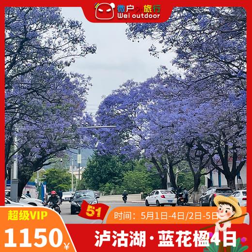 【五一丨泸沽湖·蓝花楹】（5.1-4/2-5）泸沽湖摩挲古村落，邂逅西昌醉美蓝花楹 商品图0