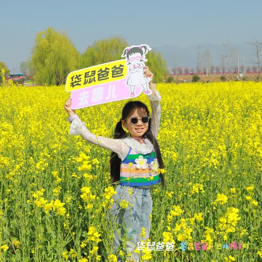 【袋鼠爸爸去哪儿丨汉中兴汉文化精品客栈】距汉中高铁站仅5分钟，兴汉胜境汉文化旅游度假区自营客栈，套餐含早餐+兴汉胜境景区单日门票2张，部分套餐含《汉颂》演出单次票2张 商品图13