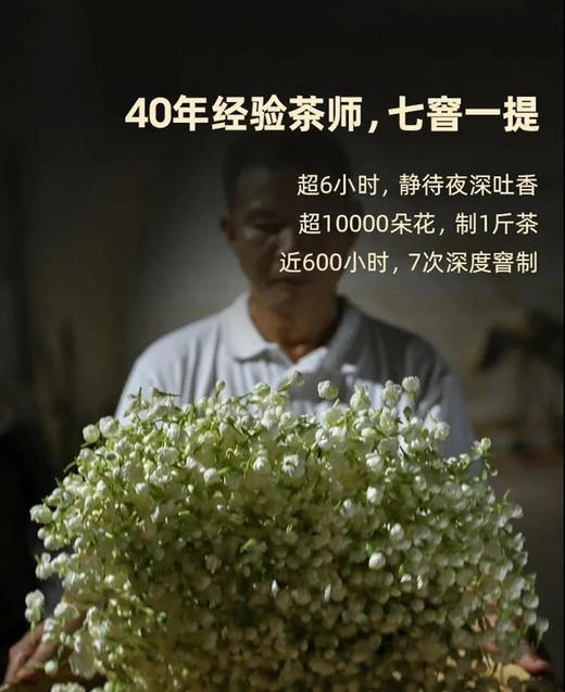 👏🏻终于有货啦🔥【强韵绿罐茉莉花茶】39.9💰🉐180g💥万朵茉莉才能制作1斤的茉莉花茶600小时七窨一提👍🏻 ·🍃万朵茉莉换茶骨，千朵花香一口茶 茉莉 商品图4