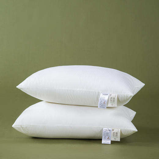 COUNTSHEEP数羊 双层提花枕芯48*74cm 商品图0