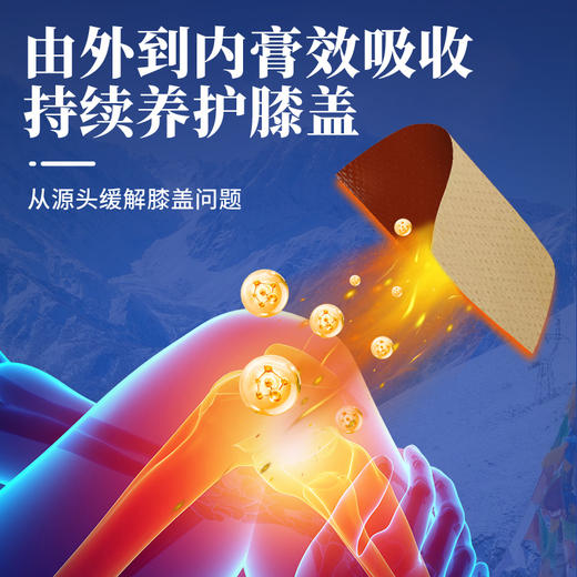 百年扁氏藏关宁滑膜炎贴 商品图2