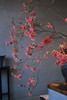 稀有小众花材杜鹃花鲜切枝条1支 商品缩略图1