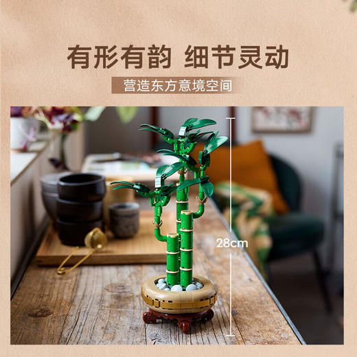 乐高积木L10344花植系列富贵竹 商品图2