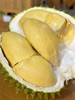 泰国进口甲仑榴莲  A级果 香甜软糯 榴莲味浓郁 口感超赞 比金枕还臭 周期短 错过等一年（下单先在详情页查看购买须知） 商品缩略图1