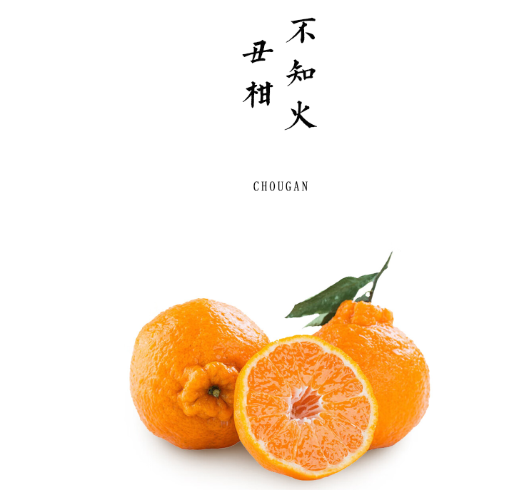 生态丹棱不知火丑柑 5斤【基地直发】