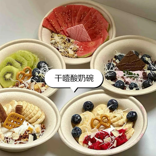 乐纯冷萃希腊酸奶1kg成品原味干噎酸奶 干巴酸奶厚切干嚼石膏固体酸奶商用 商品图3