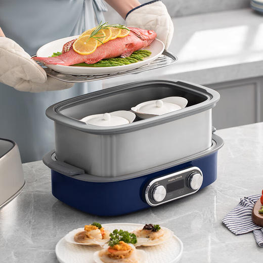 Morphy Richards摩飞极速蒸锅 MR1168双层  绿色/白色/蓝色 商品图2