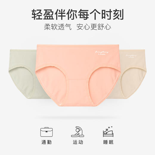 爱帝 女士棉氨中腰内裤3条装 商品图5
