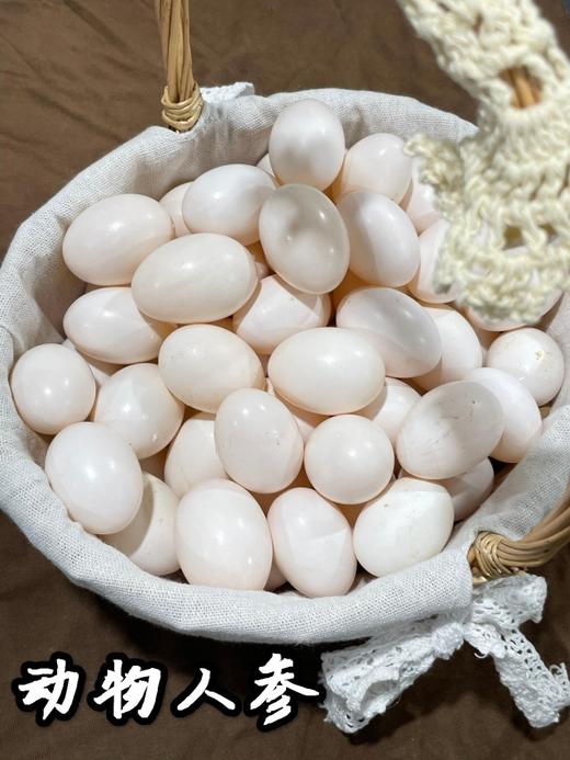 【顺丰空运】新疆喀什鸽子蛋 杂粮喂养 农家特产 白鸽蛋信鸽蛋 孕妇宝宝礼盒装AWJM 商品图6