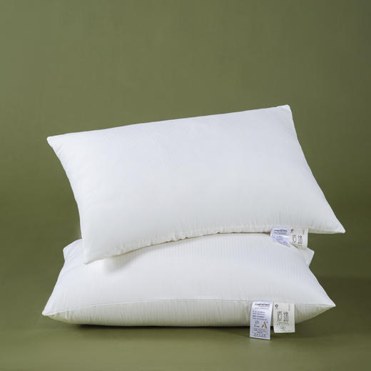 COUNTSHEEP数羊 双层提花枕芯48*74cm 商品图9