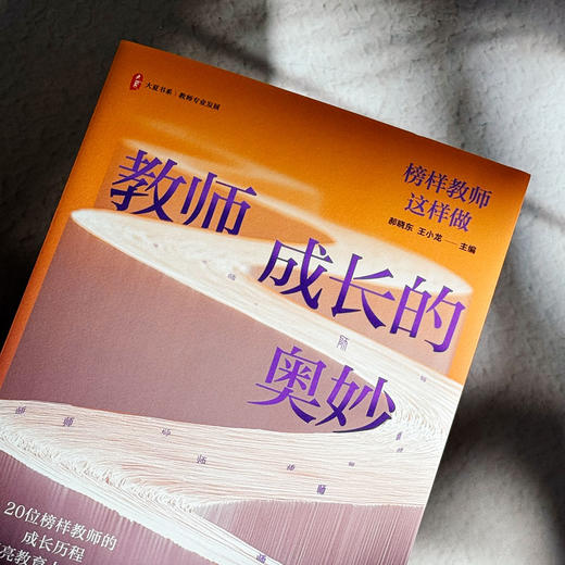 教师成长的奥妙 榜样教师这样做 大夏书系 教师专业发展 商品图4