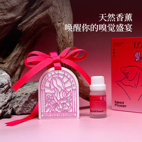 秘密花园 香薰礼盒38女神节妇女节石膏挂件礼盒车载挂件伴手礼