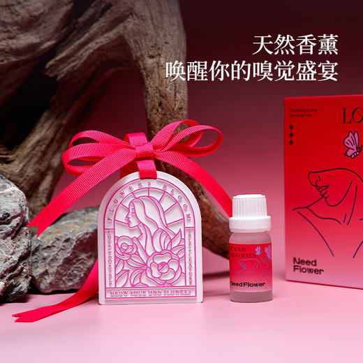 秘密花园 香薰礼盒38女神节妇女节石膏挂件礼盒车载挂件伴手礼 商品图0