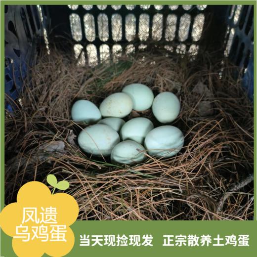 凤遗乌鸡蛋30-40枚/箱   新鲜鸡蛋当日现发   丰富蛋白质  味道鲜美  无添加无抗生素 商品图4