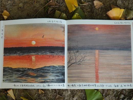 博物自然观察笔记 商品图8