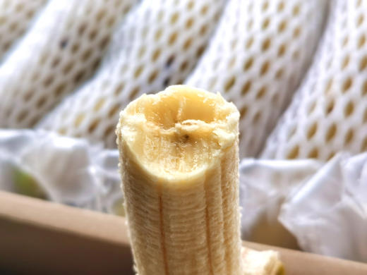 【高州遁地雷香蕉】软糯香甜，有小时候的味道 商品图1