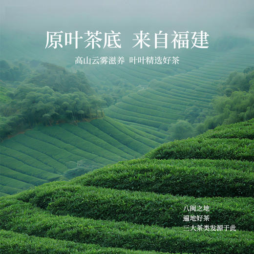 苏小糖X福建花茶「熏花工艺无香精」 商品图5