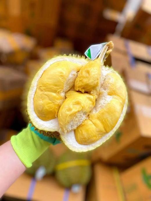 泰国进口甲仑榴莲  A级果 香甜软糯 榴莲味浓郁 口感超赞 比金枕还臭 周期短 错过等一年（下单先在详情页查看购买须知） 商品图4