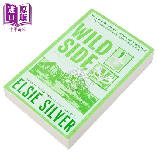 【中商原版】狂野一面 英文原版 北美晋江小说 言情小说 流行小说Wild Side Elsie Silver 商品图1