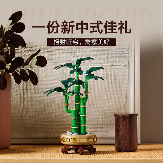 乐高积木L10344花植系列富贵竹 商品图4