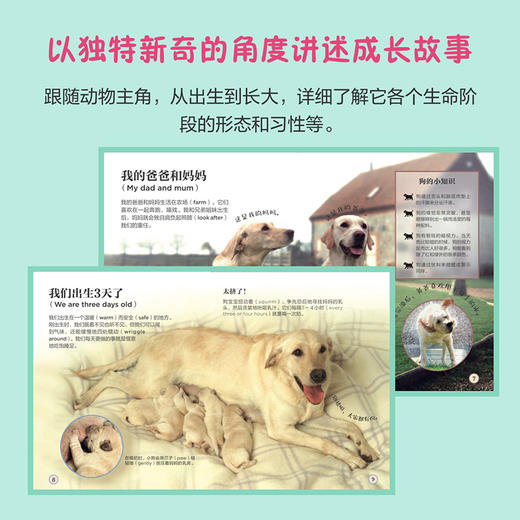 DK动物成长奥秘：看！我在长大 中英双语版  *子共读书籍 儿童绘本 少儿动物科普书 动物百科全书 商品图5