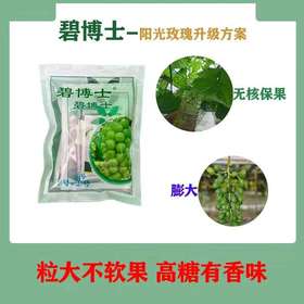 碧博士阳光玫瑰保花保果膨大方案包