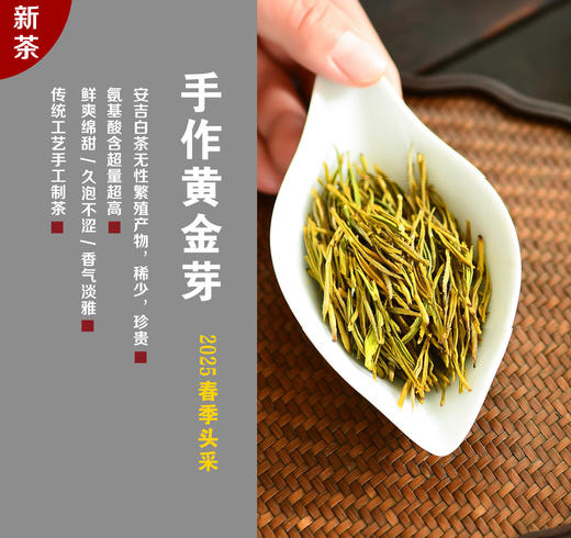 双12秒杀！【手作黄金芽 】2025明前头采嫩芽头，纯手工茶，氨基酸含量之最！鲜爽绵甜，久泡不涩！ 商品图0
