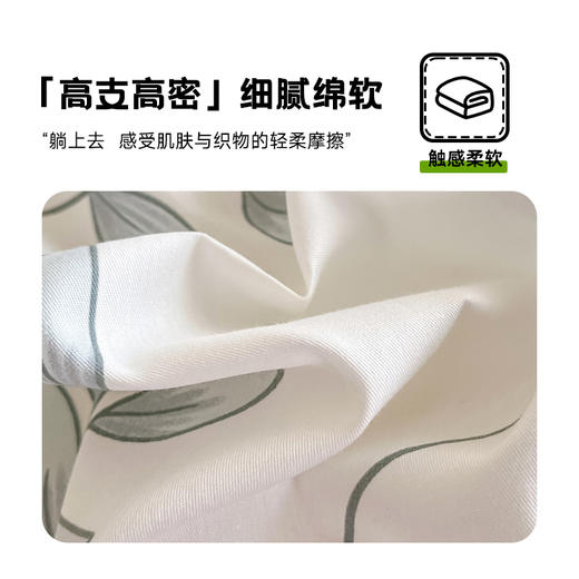 COUNTSHEEP数羊 40支100%全棉四件套（常规款）200*230cm 商品图3