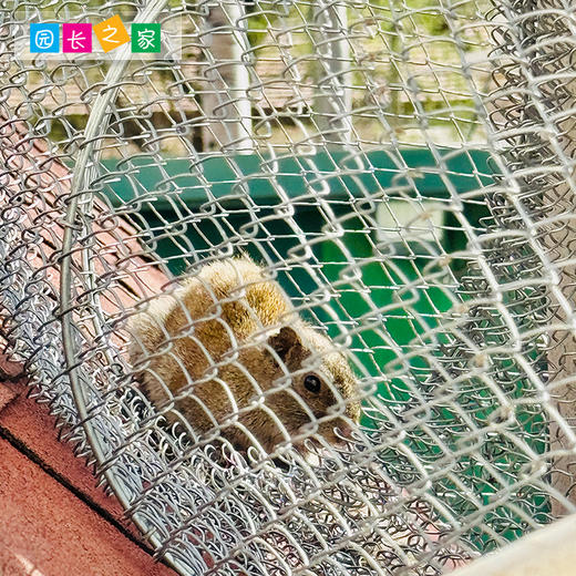 幼儿园松鼠小屋跑道网动物园景观跑道网小动物展示铁笼隧道铁网 商品图3
