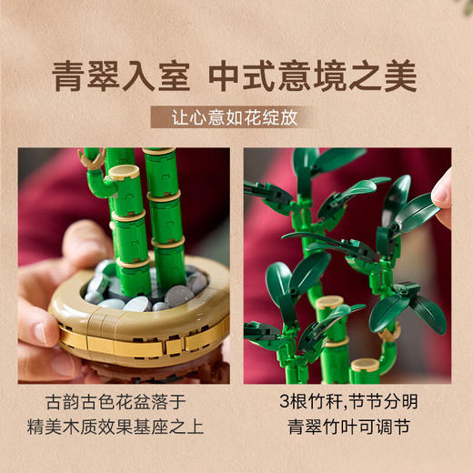 乐高积木L10344花植系列富贵竹 商品图3