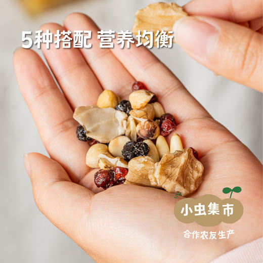 有机每日坚果 | 合作农友生产，产自黑龙江小兴安岭，生产商：雪博士 ＆【公平贸易农人定价】 商品图1