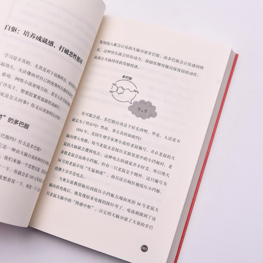 抢分 偏科自救指南  极简学习法 费曼学习法 考试脑科学 全学科查漏补缺 提分攻略指南 商品图5