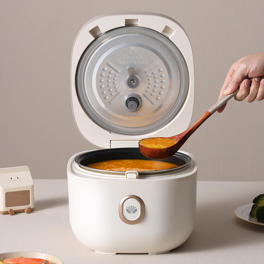 大宇电饭煲 DYFB-424F 升级版(彩邮) 商品图6