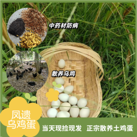 凤遗乌鸡蛋30-40枚/箱   新鲜鸡蛋当日现发   丰富蛋白质  味道鲜美  无添加无抗生素