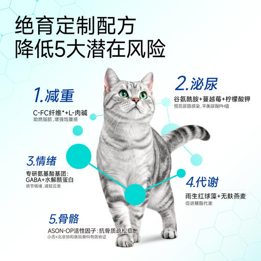 小壳-绝育定制 全价成年期猫粮，低脂控制体重（鸡肉配方2kg/包）【绝育猫吃小壳绝育粮】 商品图5