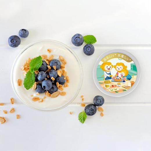 达芬奇塑杯一桶纯酸奶原味酸乳 340g/杯 商品图1