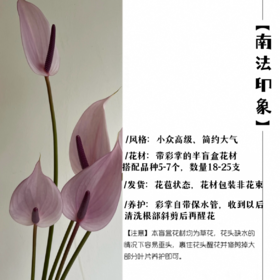 森林花事·南法印象【掌类花束】