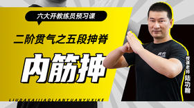 二阶贯气之【五段抻脊——内筋抻】六大开教练员预习课